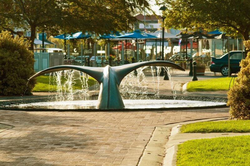 From Adelaide: Victor Harbor & Southern Highlights Day Tour - Customer Reviews