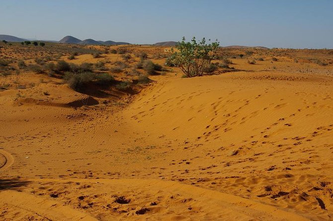 From Agadir 08 Days Round Trip to Southern Morocco. - Booking Details