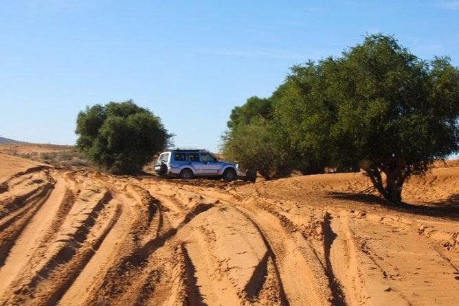 From Agadir 08 Days Round Trip to Southern Morocco. - Itinerary Day 3
