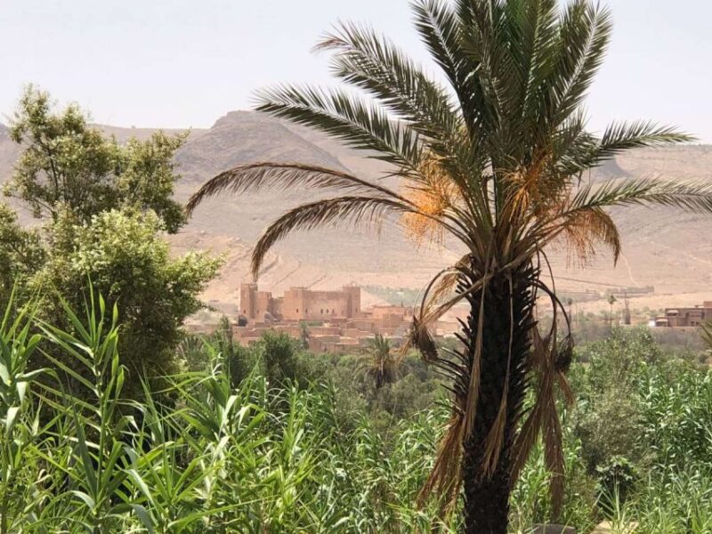 From Agadir: 2-Day El Borj Desert Tour With Transfer & Meals - Highlights