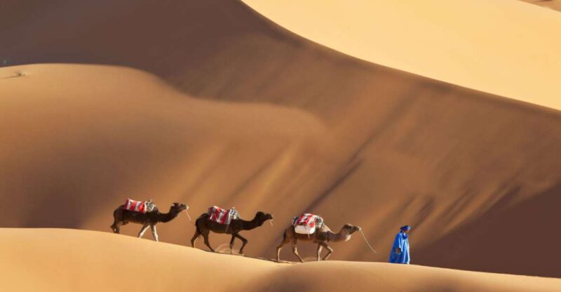 From Agadir : 4-Day Private Desert Tour To Zagora & Merzouga - Experience Highlights