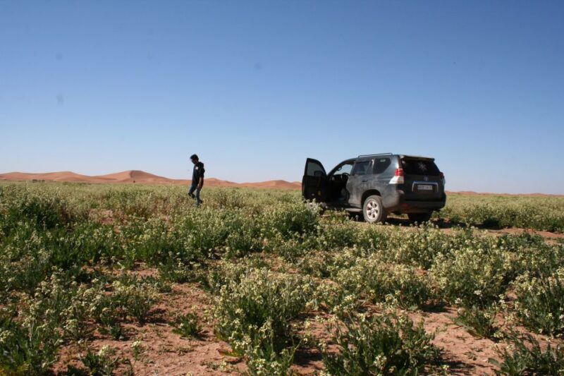 From Agadir 4 Days 3 Nights Sahara Tour to Marrakeche - Day 2: Taliouine to Erg Chigaga