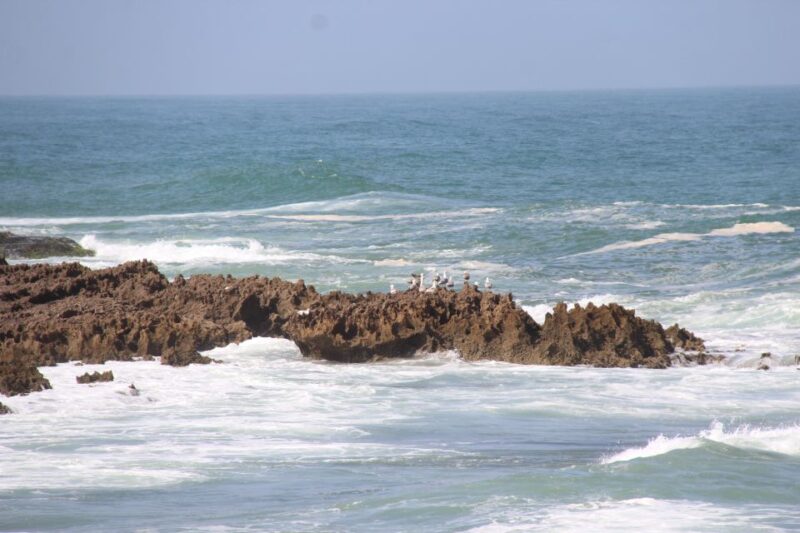 From Agadir: 4×4 Jeep Sahara Desert Tour With Lunch - Culinary Experience