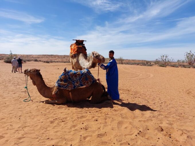 From Agadir: 4×4 Jeep Sahara Desert Tour With Lunch - Explore Sahara Desert, Sidi Rbat, and Tiznit