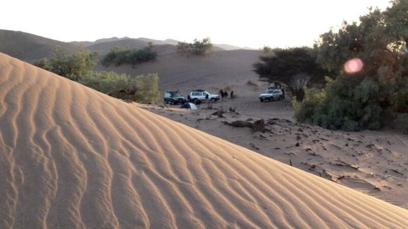 From Agadir: 4×4 Jeep Sahara Desert Tour With Lunch - Key Points