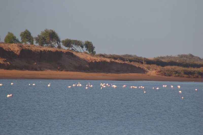 From Agadir : 4x4 Jeep Sahara Desert Tour With Lunch - Inclusions and Amenities