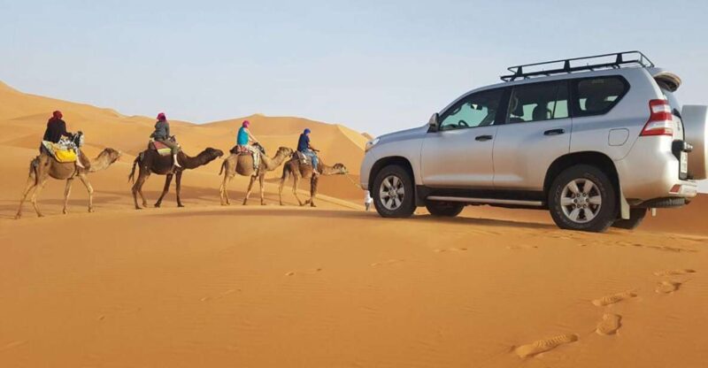 From Agadir: 4×4 Jeep Sahara Desert Tour With Lunch - What to Bring and Important Information