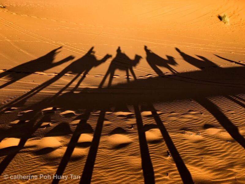 From Agadir: 4×4 Jeep Sahara Desert Tour With Lunch - Customer Reviews and Ratings