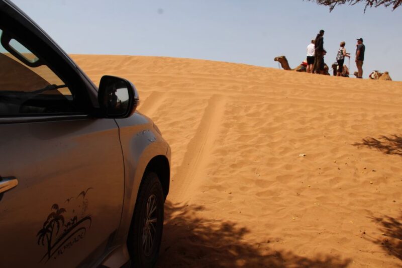 From Agadir: 4×4 Sahara Desert Safari With Lunch and Pickup - Oued Massa Birdwatching