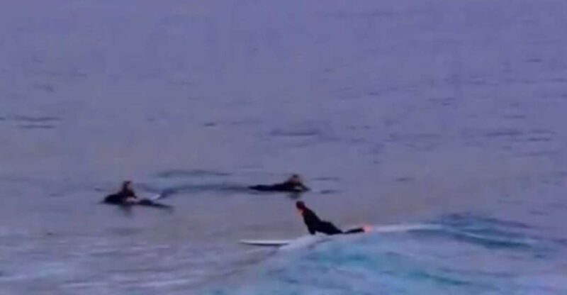 From Agadir: Beginner Surf Lesson With Transfer - Key Points