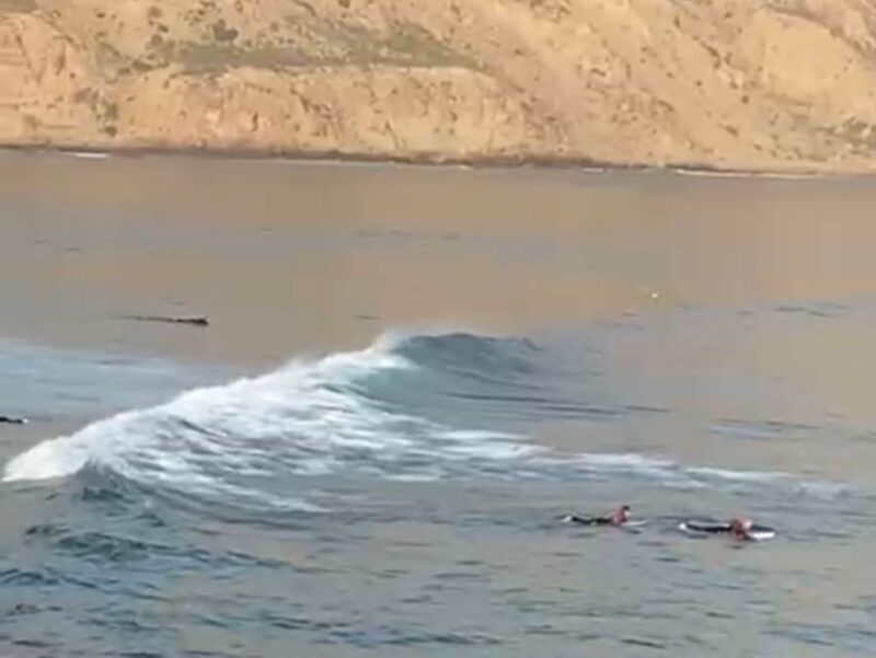 From Agadir: Beginner Surf Lesson With Transfer - Participant Preparation