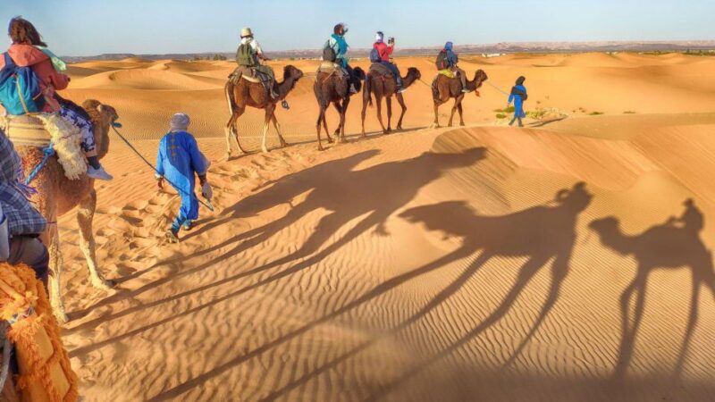 From Agadir: Camel Ride and Flamingo Trek - Inclusions