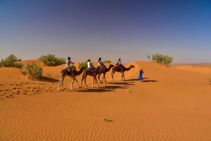 From Agadir: Camel Ride and Flamingo Trek - Frequently Asked Questions