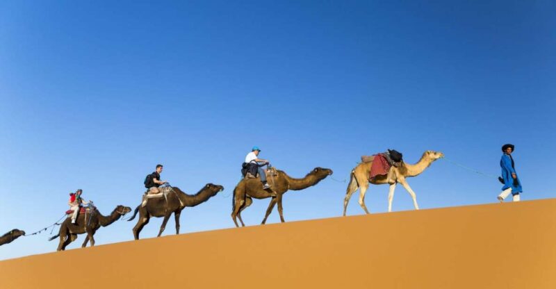 From Agadir: Camel Ride and Flamingo Trek - Experience Highlights