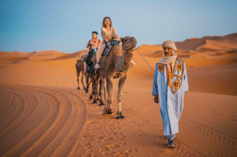 From Agadir: Camel Ride and Flamingo Trek - Customer Feedback