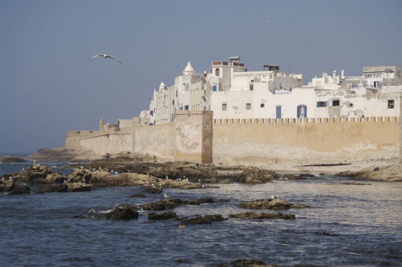 From Agadir: Essaouira Day Trip With Guide - Key Points
