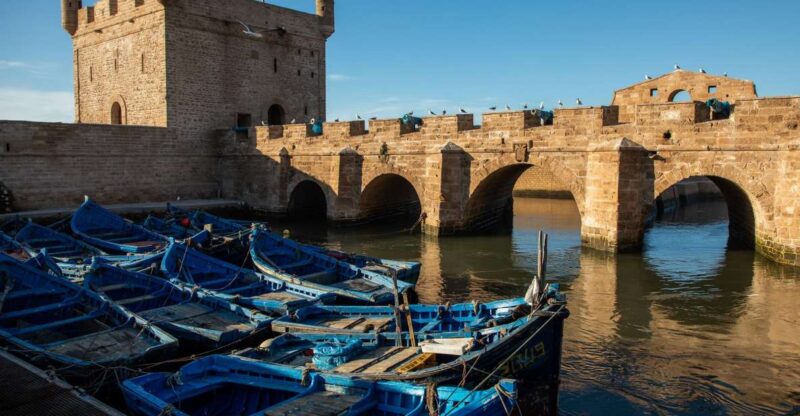 From Agadir: Essaouira Day Trip With Guide - Transportation and Logistics