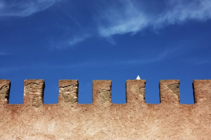 From Agadir: Essaouira Day Trip With Guide - Ramparts and Old Brass Cannons