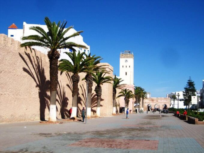 From Agadir: Essaouira Guided Day Trip - Discovering Argan Oil Production