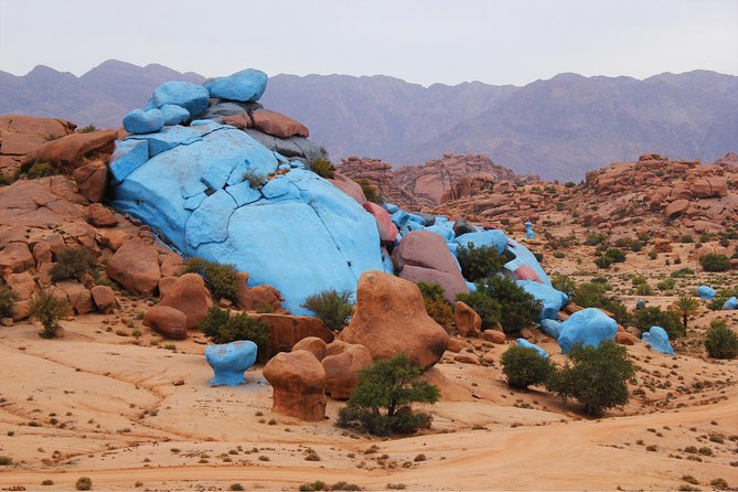 From Agadir Goats to the Tree Tour (Land & People) - Lunch and Culinary Experience