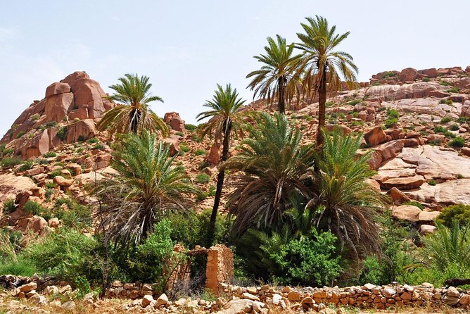 From Agadir Goats to the Tree Tour (Land & People) - Customer Reviews and Ratings
