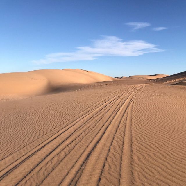 From Agadir: Jeep Desert Safari With Lunch and Camel Ride - Berber Lunch and Camel Ride