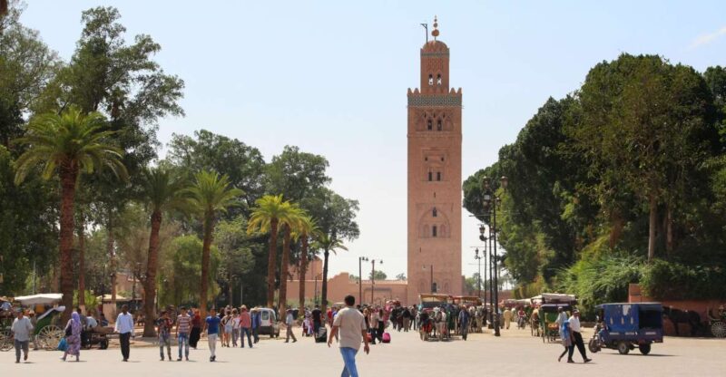 From Agadir: Marrakesh Full-Day Tour With a Guide - High Atlas Mountains Panorama