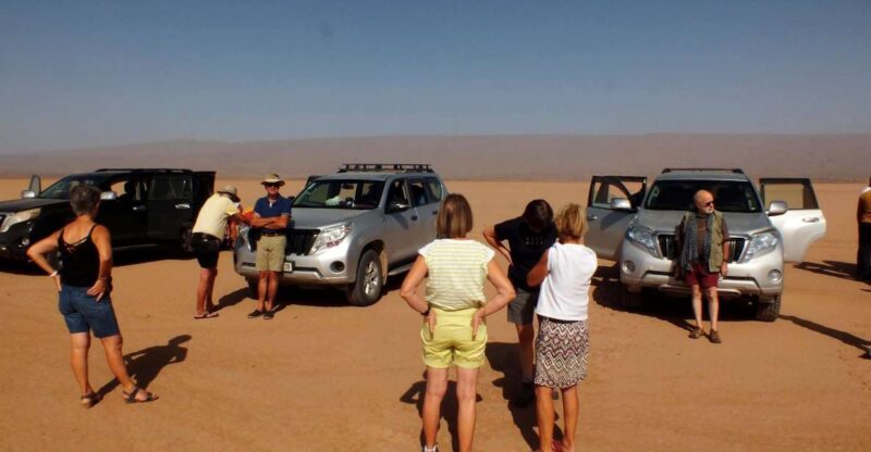 From Agadir: Massa Sahara Desert Day Trip - Transportation and Comfort