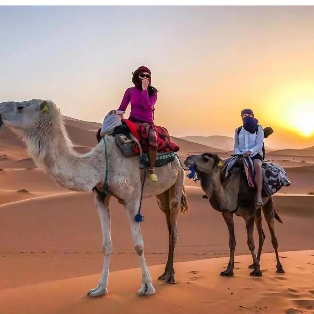 From Agadir: Merzouga 3-Day Desert Safari With Meals - Itinerary Highlights