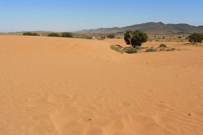 From Agadir or Port Trip to Small Sahara of Massa and Tiznit With Lunch - Accessibility and Participation