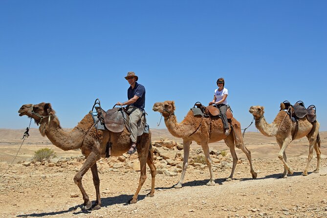 From Agadir or Port Trip to Small Sahara of Massa and Tiznit With Lunch - Lunch With Berber Family