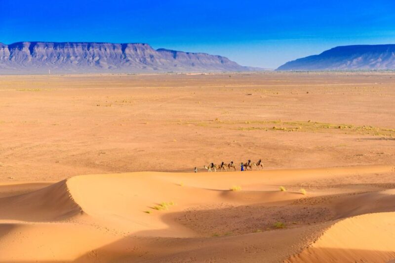 From Agadir or Taghazout: 2-Day Sahara Desert Tour to Zagora - Sunset Camel Ride
