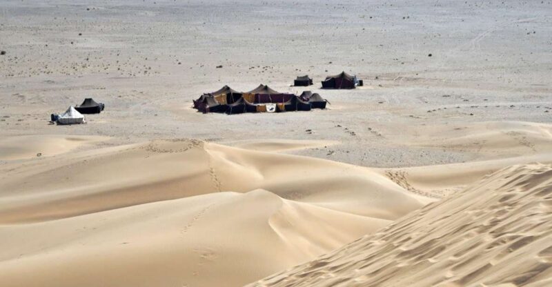 From Agadir or Taghazout: 2-Day Sahara Desert Tour to Zagora - Experience Highlights