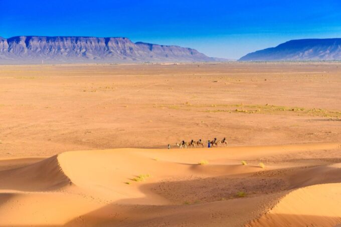 From Agadir or Taghazout: 2-Day Sahara Desert Tour to Zagora - Inclusions and Exclusions