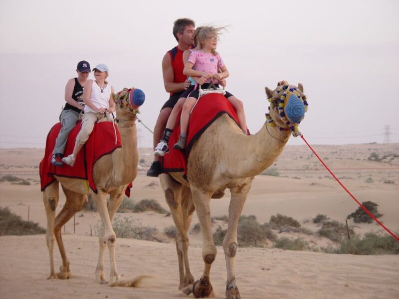 From Agadir or Taghazout: Camel Ride and Flamingo River Tour - Activity Highlights