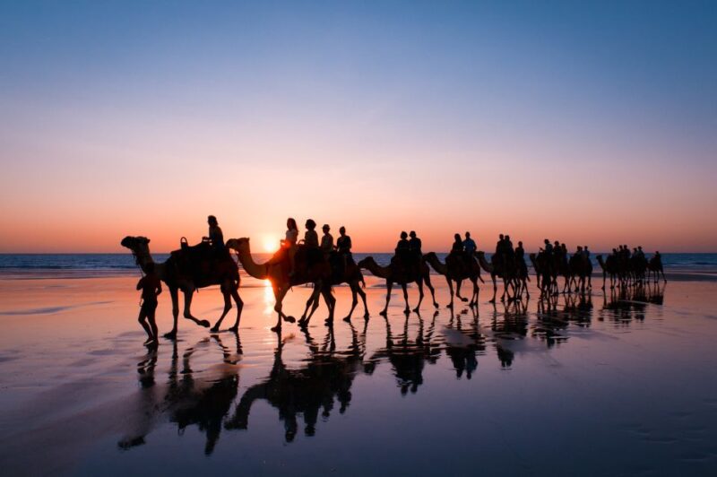 From Agadir or Taghazout: Camel Ride and Flamingo River Tour - Free Cancellation Policy