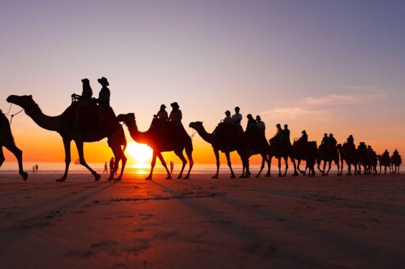 From Agadir or Taghazout: Camel Ride and Flamingo River Tour - Booking Information