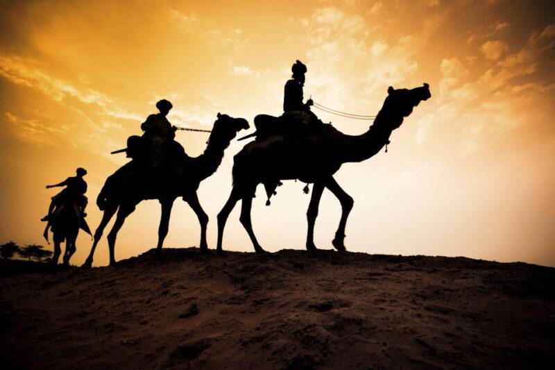 From Agadir or Taghazout: Camel Ride and Flamingo River Tour - Camel Handling Briefing