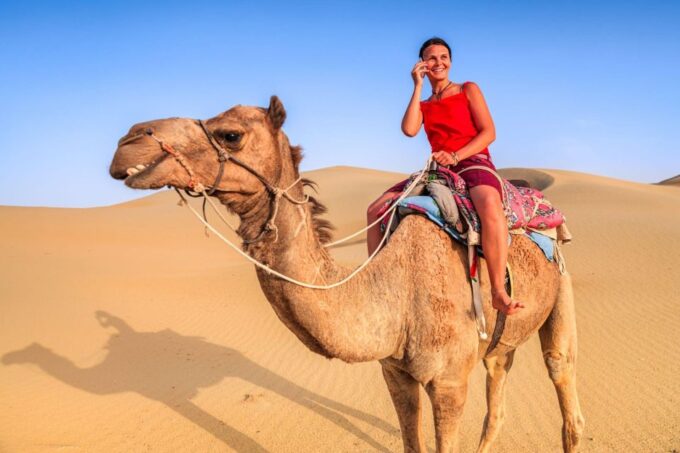 From Agadir or Taghazout: Camel Ride and Flamingo River Tour - Souss River Photo Opportunities