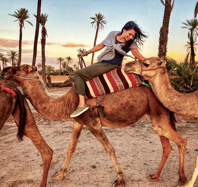 From Agadir or Taghazout: Camel Ride and Flamingo River Tour - Frequently Asked Questions