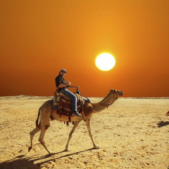 From Agadir or Taghazout: Camel Ride at Flamingo River & Tea - Key Points