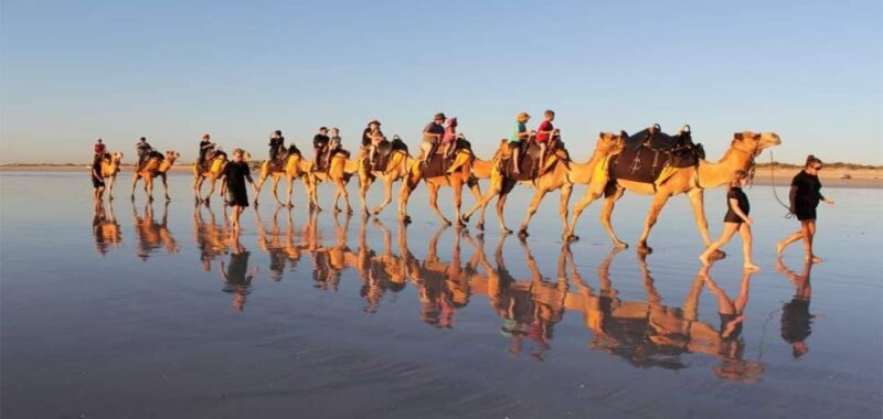 From Agadir or Taghazout : Camel Ride at the Sunset - Tour Overview