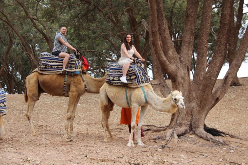 From Agadir or Taghazout: Camel Ride Tour & Flamingos Watch - Cancellation and Language Options