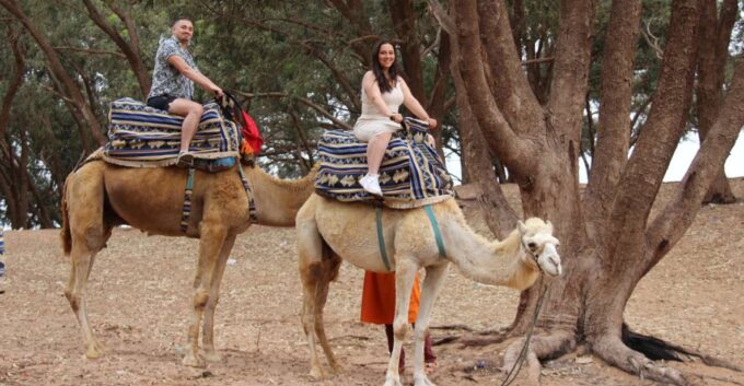 From Agadir or Taghazout: Camel Ride Tour & Flamingos Watch - Participant Details