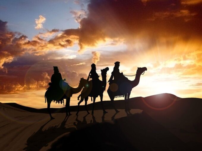 From Agadir or Taghazout: Camel Ride Tour & Flamingos Watch - Frequently Asked Questions
