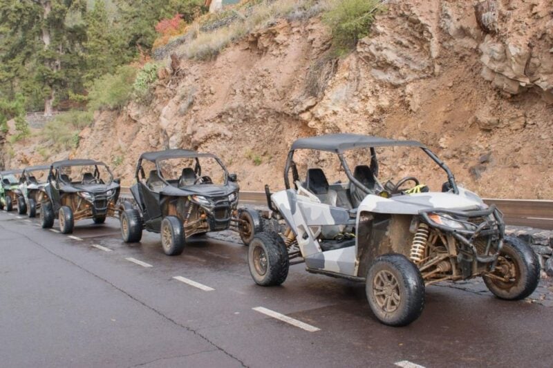 From Agadir or Taghazout: Dune Buggy Tour - Itinerary Details
