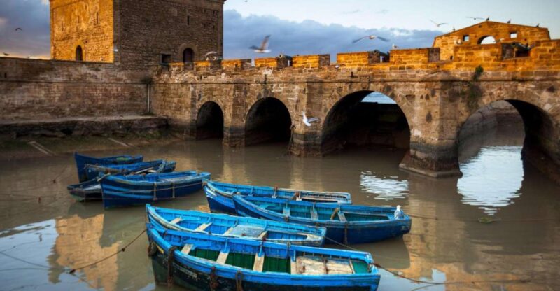 From Agadir or Taghazout: Essaouira Day Trip With Transfer - Key Points
