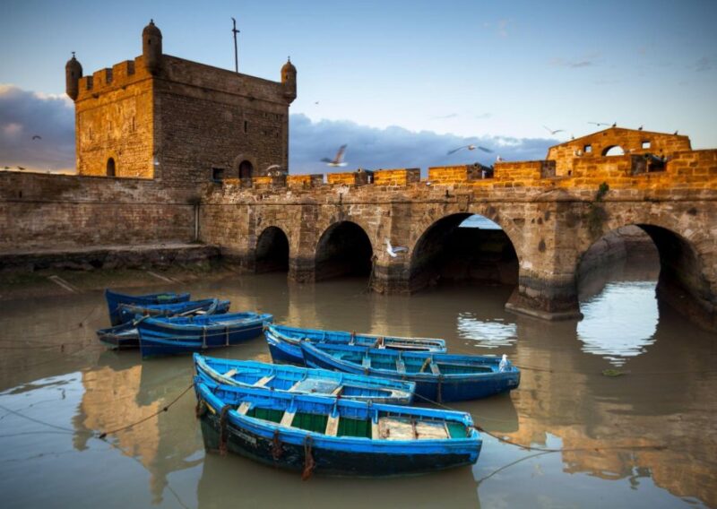 From Agadir or Taghazout: Essaouira Day Trip With Transfer - Inclusion and Participant Information
