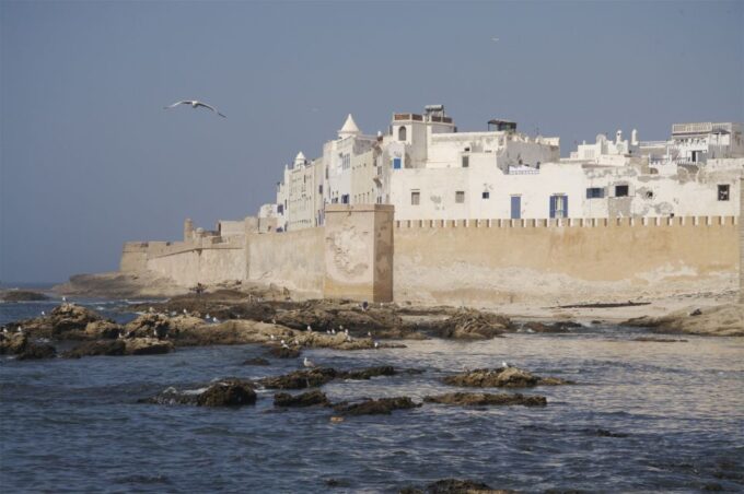 From Agadir or Taghazout : Essaouira Guided Day Trip - Highlights of the Medina