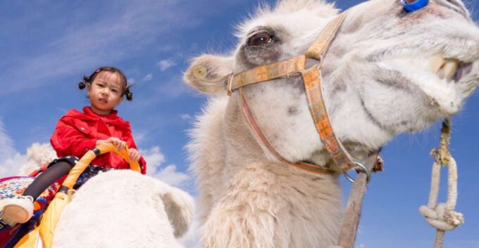 From Agadir or Taghazout: Flamingo River Camel Ride With Tea - Participant Details